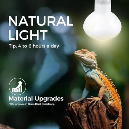 100W Reptile Heat Lamp Bulb, Day & Night Basking Spot Light Combo Pack Includes Infrared Heat Lamp and UVA Daylight Heating Lamp Basking Light for Lizards, Turtles, Chicken，Bearded Dragons - style: Day & Night Heat Lamp 100W