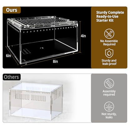 Reptile Terrarium Starter Kit, PC Habitat w/Magnetic Lid & Full Ventilation, Scorpion Habitat, Tarantula Enclosure, Spiders Cage, Insect Terrarium, Mantis & Small Frog Terrarium, 8"x6"x4" Assembled