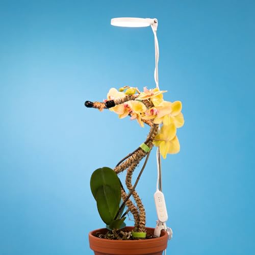 Mossify LED Grow Lights for Indoor Plants Full Spectrum – Adjustable Height (8”-28”), Dimmable Brightness, Programmable Timer, Long Lifespan – Ideal Grow Lights for Healthy Plant & Houseplants (White) - color: White