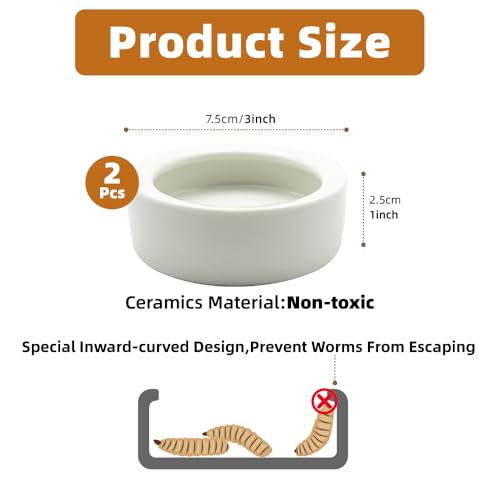 Escape-Proof Reptile Food Dish Bowl, Ceramic Reptile Feeding Dish & Small Animal Bowl for Lizard, Leopard Gecko, Hermit Crab, Hamster, Anti Escape Live Food & Water Dish (3x1in) 2PCS - size: Medium-2Pack