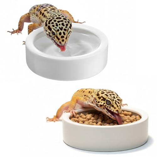 Escape-Proof Reptile Food Dish Bowl, Ceramic Reptile Feeding Dish & Small Animal Bowl for Lizard, Leopard Gecko, Hermit Crab, Hamster, Anti Escape Live Food & Water Dish (3x1in) - size: Medium-1Pack