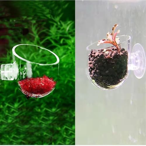 Floating Shrimp Bowl, Aquarium Feeding Tray with Suction Cup, Fish Food Cup Accessory, Reptile and Aquatic Pet Feeder, Tank Tortoise Gecko Bearded Dragon Betta Turtle Shrimp Crab Frog Snake Spider - size: Small