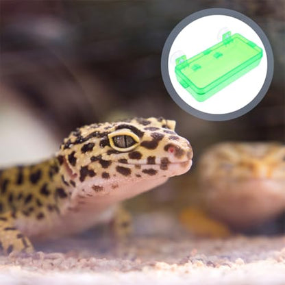 Cabilock Reptile Food Dish and Water Bowl with Suction Cup, Large Green Plastic Feeder for Bearded Dragon, Chameleon, Gecko, Suitable for Feeding Insects and Hydration in Terrariums
