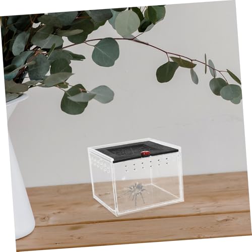 Small Animal Breeding Box Acrylic Reptile Case Waterfall for Lizards Spiders Easy Viewing Design