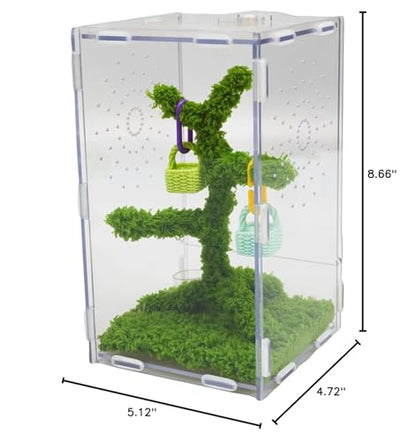 Jumping Spider Enclosure Kit with Acrylic Habitat, Feeding Tongs & Decor – 8.66"x5.12"x4.72" Ventilation Terrarium for Pet Spiders, Reptiles & Small Arboreal Pets