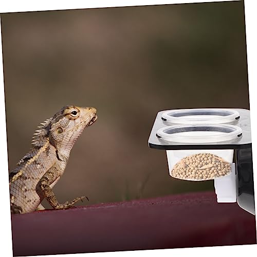 Reptile Feeder Set with Suction Cups Random Color Gecko Feeding Ledge and Water Bowl Stable Design for Chameleons and Lizards 2-Piece Terrarium Accessory