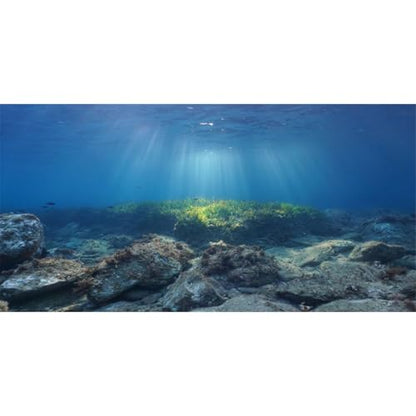 AWERT Ocean Floor Fish Tank Background Underwater Stone Aquarium Background 36x18 inches Vinyl