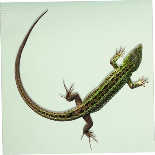 ORFOFE Nonslip EVA Reptile Terrarium Mat Carpet for Bearded Dragon Gecko Snake Lizard Tortoise Soft Washable Cage Liner Substrate and Shape for Safe Resting