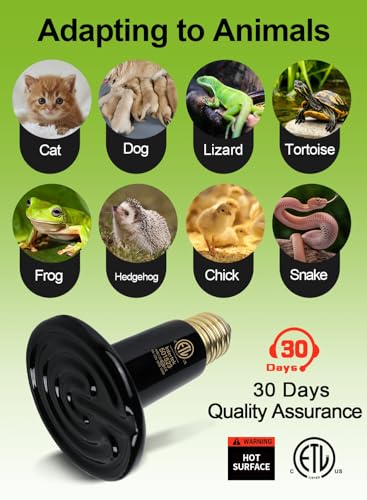 2-Pack 100W Ceramic Heat Lamp with 1-pcs Digital-Thermometer, Infrared Heat Emitter Bulbs for Reptiles, Amphibians, Chicken Brooder Coop Lizard Turtle Snake, No Light No Harm