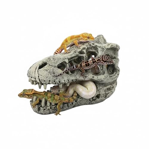 Dinosaur Skull Décor, Snake Accessories for Tank, Snake and Reptile Hideout, Lifelike Resin Crafts, Reptile Hides and Caves for Fish Bearded Dragon Salamander Ball Python Leopard Gecko(Style A) - color: Style a