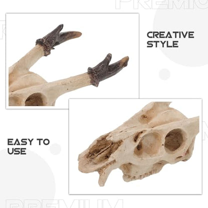 ARTIBETTER Reptile Resin Skull Hideout for Terrarium, Medium Skull Decoration, Lizard and Gecko Tank Habitat Accessory for Hiding and Shelter