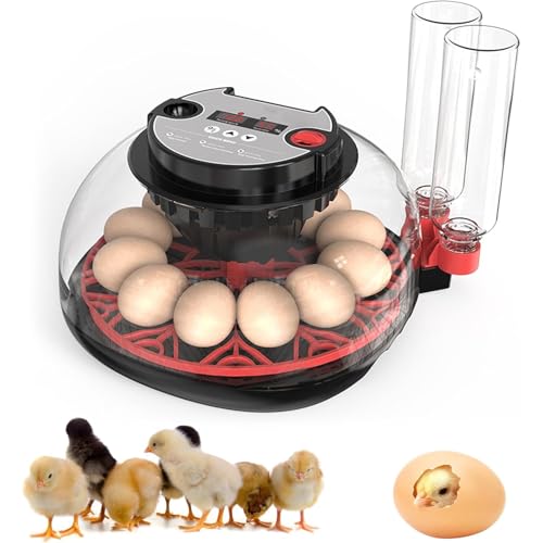 Incubators for Hatching Eggs Automatic Egg Incubator with Temperature Control Humidity Display 12 Egg Capacity for Chicken Duck Goose Eggs Digital Display Auto Turner 360° View - color: 12 quail eggs
