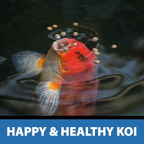 CrystalClear Platinum Fish Food Floating 3mm Pellets, 2.2 lbs | For Koi & Goldfish, premium nutrition to boost growth, color, and wellness in backyard ponds & water gardens - size: 2.2 Pound (Pack of 1)