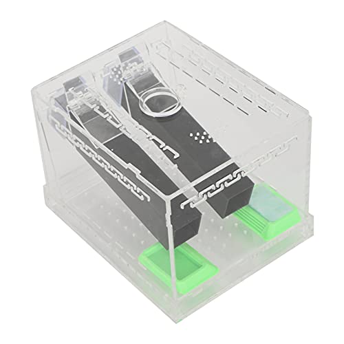 Acrylic Cricket Feed Box with Observation Window for Reptile Terrarium Insect Care Kit, Non-Toxic Material for Easy Cleaning, Tank Box for - size: L