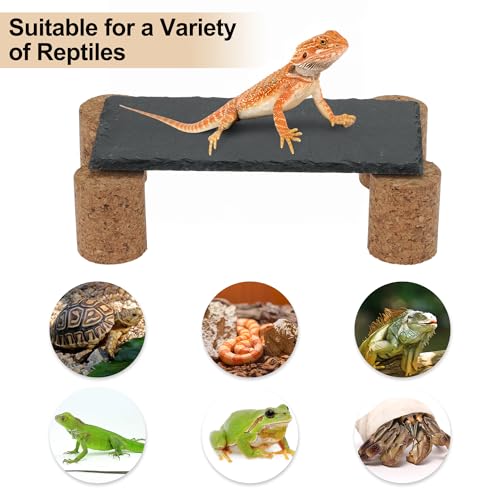 Reptiles Slate Rocks, Basking Surface Reptile Basking Platform, Enhances Climbing Activity, Black Gray, 1 Set