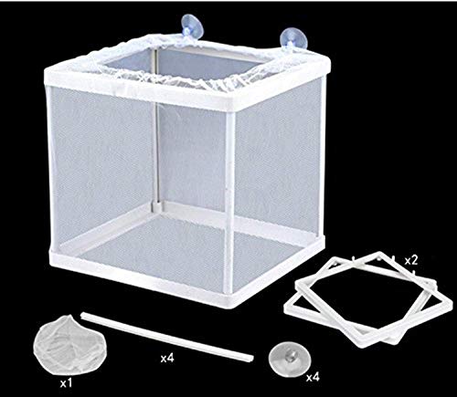 COMOK Fish Hatchery Breeder Box Aquarium Separation Net Nylon Incubator Mesh Fish Breeding Tanks Isolation Box White Square 20PCS - color: White Square