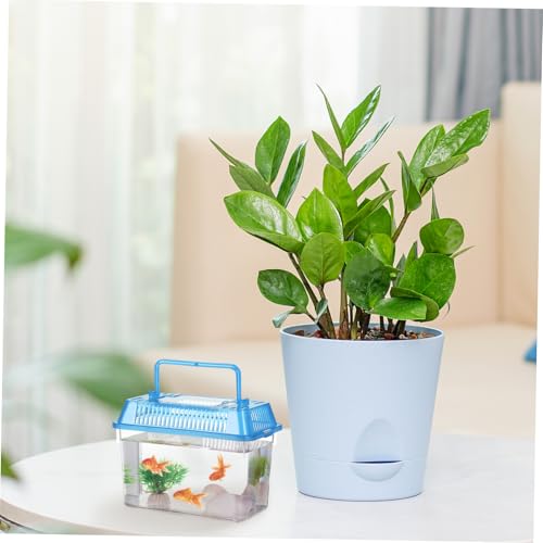 Mipcase 5pcs Portable Handheld Fish Tank Mixed Color Transparent Turtle Feeding Box for Small Pets Lightweight Plastic Breeding Aquarium Ventilation Design Easy to Clean and Operate