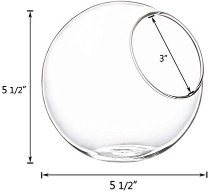 Mkono Plant Terrarium Display Glass Tabletop Succulent Air Plant Planter Globe Microlandschaft House, M