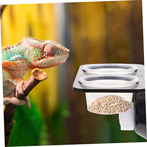 BESPORTBLE 1set Suction Cup Feeding Bowls for Reptiles Practical Reptile Water and Food Dispenser Bowls and Easy to Clean Feeding Tools for Turtles Lizards and Geckos