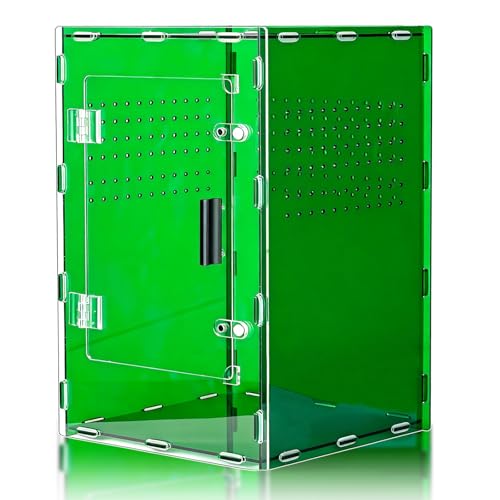 8x8x12 Acrylic Terrarium Reptile Tank – Cyberpunk Deep Green Reptile Enclosure Modeled After New Caledonia Rainforest for Lizards, Spiders & Small Reptiles - color: DeepGreen