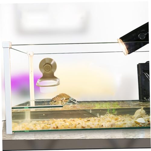 BESPORTBLE Robust Material Reptile Food Water Bowl Capacity Suction Cup Fixed for Tortoises Lizards Geckos Chameleons