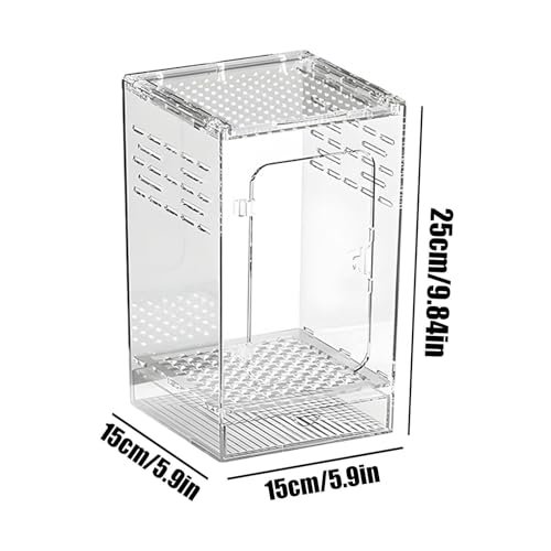 Jumping Spider Enclosure – Acrylic 15x15x25cm | Small Reptile Habitat with Dual-Sided Ventilation | Front-Opening Arboreal Tarantula Tank | Transparent Terrarium for Mantis and Invertebrate Use - color: Arboreal breeding box small