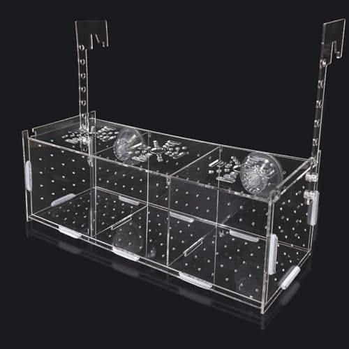 PINVNBY Acrylic Fish Breeding Box，Guppy breeding Box Acrylic Fish Isolation Box Aquarium Incubator with Suction Cups for Guppy Shrimp Small Baby Fishes（3.9 x 3.9 x11.8 in） - size: L(3.9 * 3.9 * 11.8in)