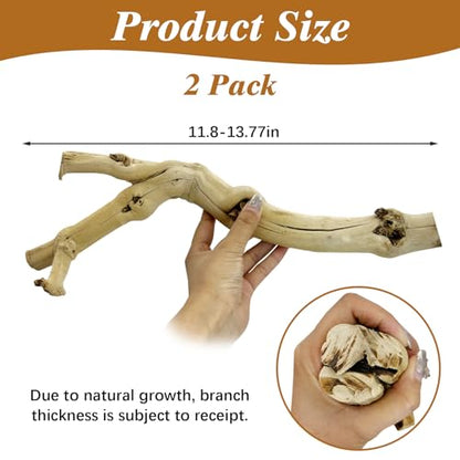 Reptile Cork Bark with Reptile Climbing Decor Thick Wood Branches Snake Habitat Decorations Terrarium Wooden Tree Trunk Ornament