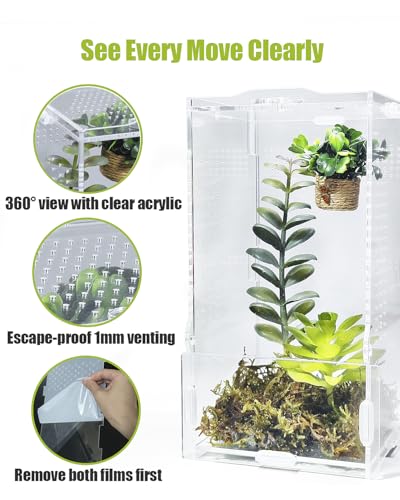 Jumping Spider Enclosure, Transparent Arboreal Tarantula Habitat, Praying Mantis Terrarium Critter Cage for Jumping Spider, Tarantula Slings, Mantis, Snail, Isopods, Beetles, Millipedes - size: Small