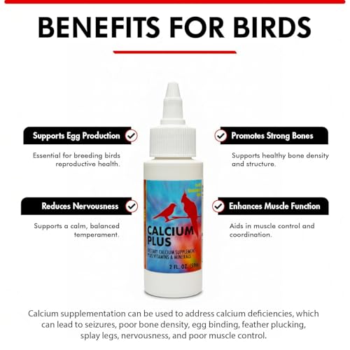 Morning Bird Calcium Plus Liquid for Birds – Calcium Supplement with Vitamins and Minerals for Strong Eggshells, Healthy Bones - Support Growth, Breeding, and Wellness for All Birds 2 Fl Oz - size: 2 Fl Oz