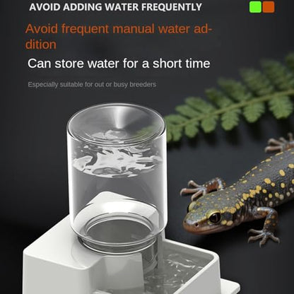 Automatic Reptile Feeder - Reptile Automatic Dish, Crab Water Dispenser | ABS, Bearded Dragon Water Bowl Food Container for Lizard Chameleon Snake Frog Hermit Crab Amphibian Habitat - color: White