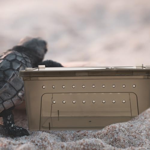 Reptile Feeding Box Portable Small Snake Terrarium Habitat Mini Pet Breeding Cage Hatching Container Transparent Lizard Houses for Tarantula Spider Scorpion Gecko Frog 2PCS