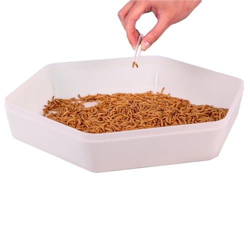 Hatching Time Mealworm Storage Tray with Lid & Carbon Filter – Eco-Friendly Recycled Plastic Container for Mealworms, Super Worms, Calci Worms – Expand Mealworm Farming