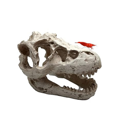 Mini T-Rex Skull Aquarium & Reptile Tank Decor – Dinosaur Fossil Hideout for Fish, Geckos, Hermit Crabs, and Terrariums – Small Resin Jurassic Decoration for Aquascape, Vivarium, or Pet Habitat