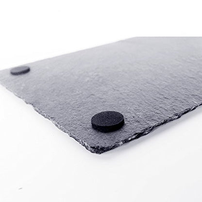 OMEM Turtle Reptile Rock Food Plate Grinding the Nail (M) - size: M