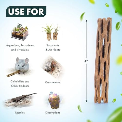 SubstrateSource Natural Cholla Wood - Driftwood for Aquariums, Air Plant Base, Hermit Crab and Freshwater Shrimp Hideout, Fish Tank Decoration, Chinchilla Chews, Reptile Habitat Wood - 4 Inch, 3pc - size: 4 Inch (Pack of 3)