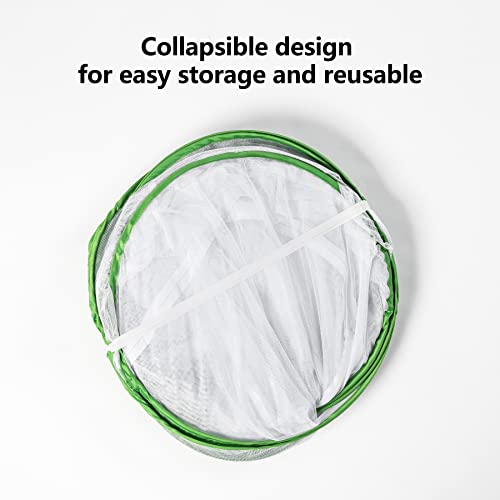 48" Outdoor Mesh Plant Enclosure, Mesh Plant Cover for Pests, Bird and Pest Protection Guard for Fruit, Vegetables, Flowers and Herbs Pop-Up Cage 28 x 28 x 48 Inches - size: 28 x 28 x 48 Inches