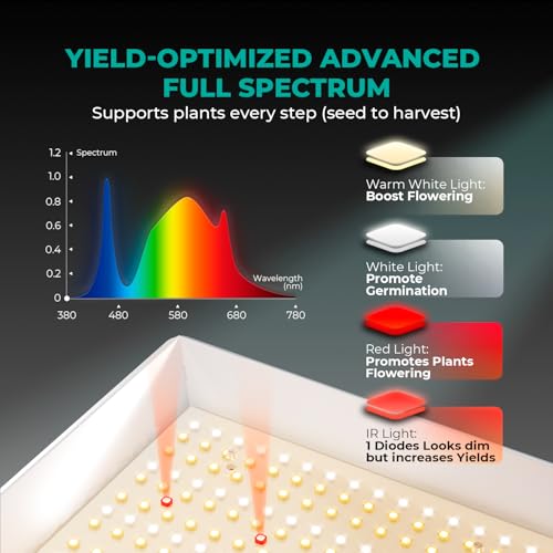 MARS HYDRO TS600 100W Upgraded Dimmable LED Grow Light, Full Spectrum Growing Lamp with New Diodes Layout for Indoor Plants Hydroponic Seedling Veg Bloom in 2x2 Grow Tent - size: 15.7" × 12.2"