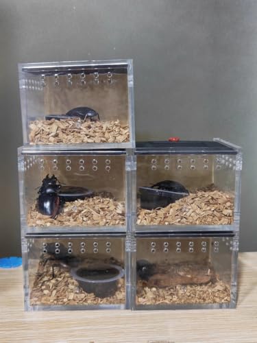 3.5x2.5 inch Pet Spider Box Reptile Crawling Pet Feeding Lizard Silkworm Baby Scorpion Unicorn Beetle Insect House Black Acrylic Box