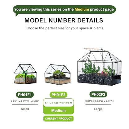 NCYP Mini Glass Terrarium with Lid - 6.1" x 4.25" x 4.92" House Shape Closed Planter for Mini Cactus, Succulents Plant, Moss - Home Garden Office Tabletop Geometric Decor, Black (Terrarium Only) - size: 6.1x4.25x4.92 inches