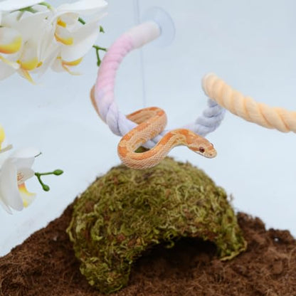 Snake Enrichment, Ball Python Tank Accessories, Gradient Climbing Decoration Rope with Suction Cups, Snake Climbing Accessories, Ball Python Enrichment - size: 40cm