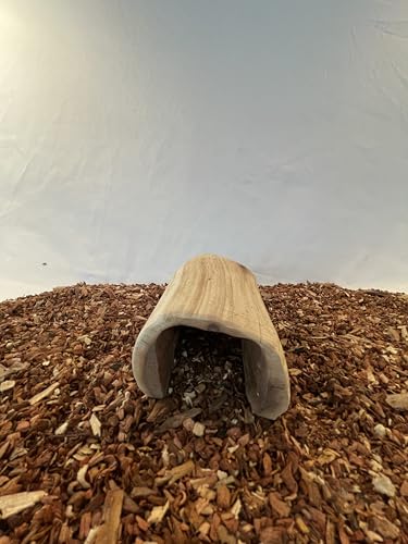 Reptile Habitat Decor Set for Bearded Dragons, Geckos & Lizards – Natural Manzanita Branch, Hollow Log Hide, 2 Slices & 4qt Substrate by MyMANZANITA