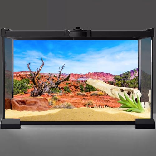 AWERT 36x24 inches Reptile Habitat Background Blue Sky Oasis Orange Desert Terrarium Background - size: 36x24in/90x60cm