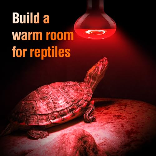 Leoterra 50w Reptile Night Heat Bulb Red Infrared Night Heat Lamp 10-20 Gallon Terrarium Use Thickened Glass (2-Pack) for Geckos, Frogs, Small Snakes,Bearded Dargon Night Use 2000+ Hours Service Life - style: R6350 Red Night Heat Bulb