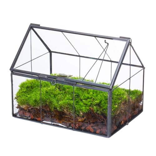 NCYP Mini Glass Terrarium with Lid - 6.1" x 4.25" x 4.92" House Shape Closed Planter for Mini Cactus, Succulents Plant, Moss - Home Garden Office Tabletop Geometric Decor, Black (Terrarium Only) - size: 6.1x4.25x4.92 inches