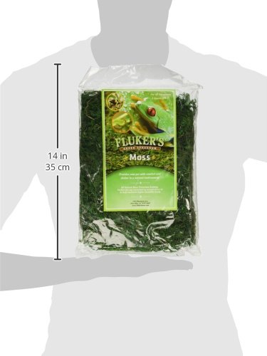 Fluker's Green Reptile Terrarium Moss, 8,Quart, Black (Pack of 2) - size: 8-Quart (Pack of 2)