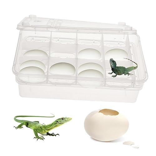 FRCOLOR Compartments Transparent Reptile Breeding Isolation Box Hatching Incubator for Snakes Turtles Geckos and Lizards Easy Observation and Cleaning for Incubation
