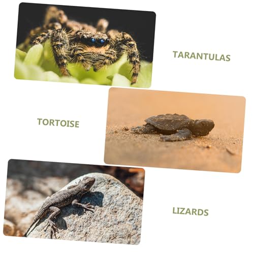 VANZACK Reptile Carpet Mat for Terrarium Washable Imitation Grass Bedding for Snakes Turtles Lizards Tortoises Safe Substrate Liner for Clean Habitats