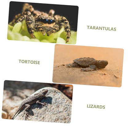 VANZACK Reptile Carpet Mat for Terrarium Washable Imitation Grass Bedding for Snakes Turtles Lizards Tortoises Safe Substrate Liner for Clean Habitats