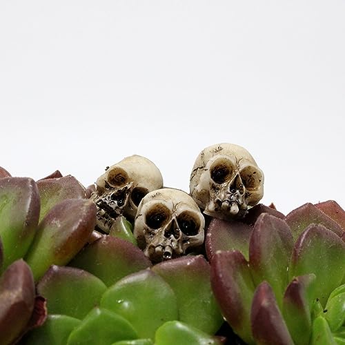 Eforcase 20PCS Miniature Skulls Heads Halloween Figurines Skeleton Skull Statues Ornament Halloween Prank Props Halloween Trick Toy Favors Crafts, Decoration for Desktop, Halloween and Easter